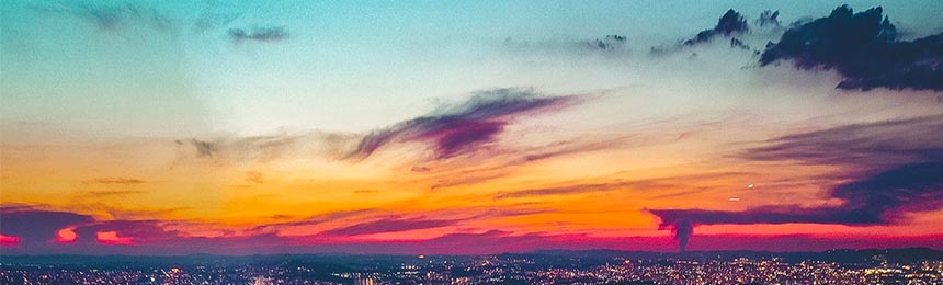 河池茶虫网_河池品茶